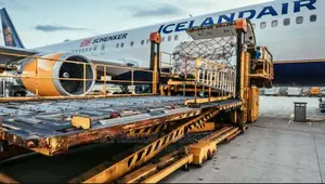 Cargo Shipping and Clearing Agent