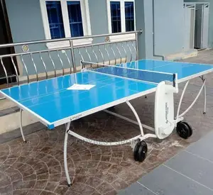 Commercial Table Tennis Board