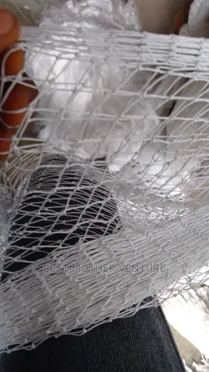 Harvest Net 20ft by 60ft