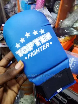 Karate Gloves