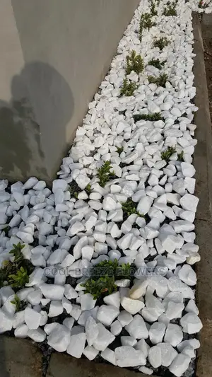 White Stones