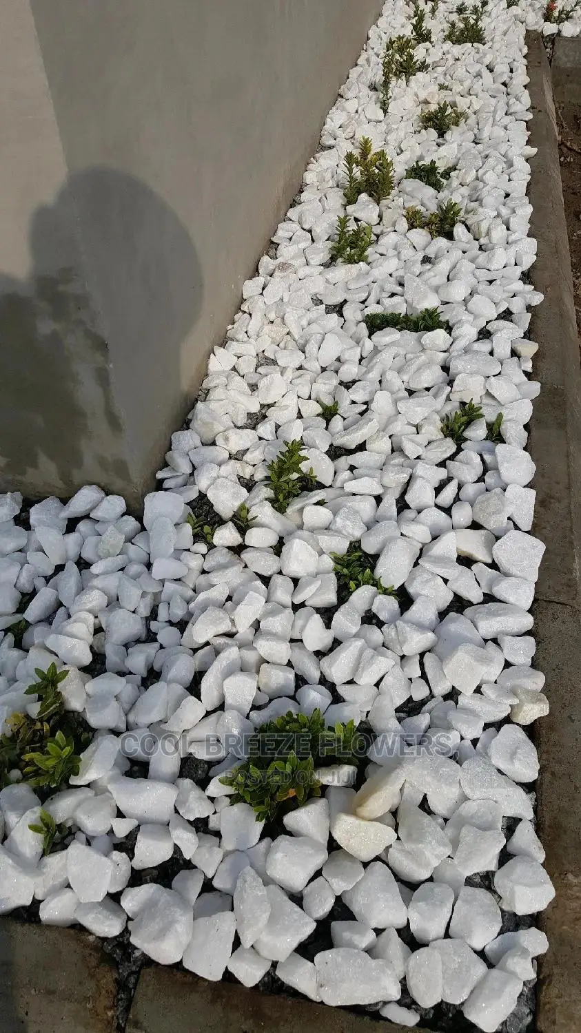 White Stones