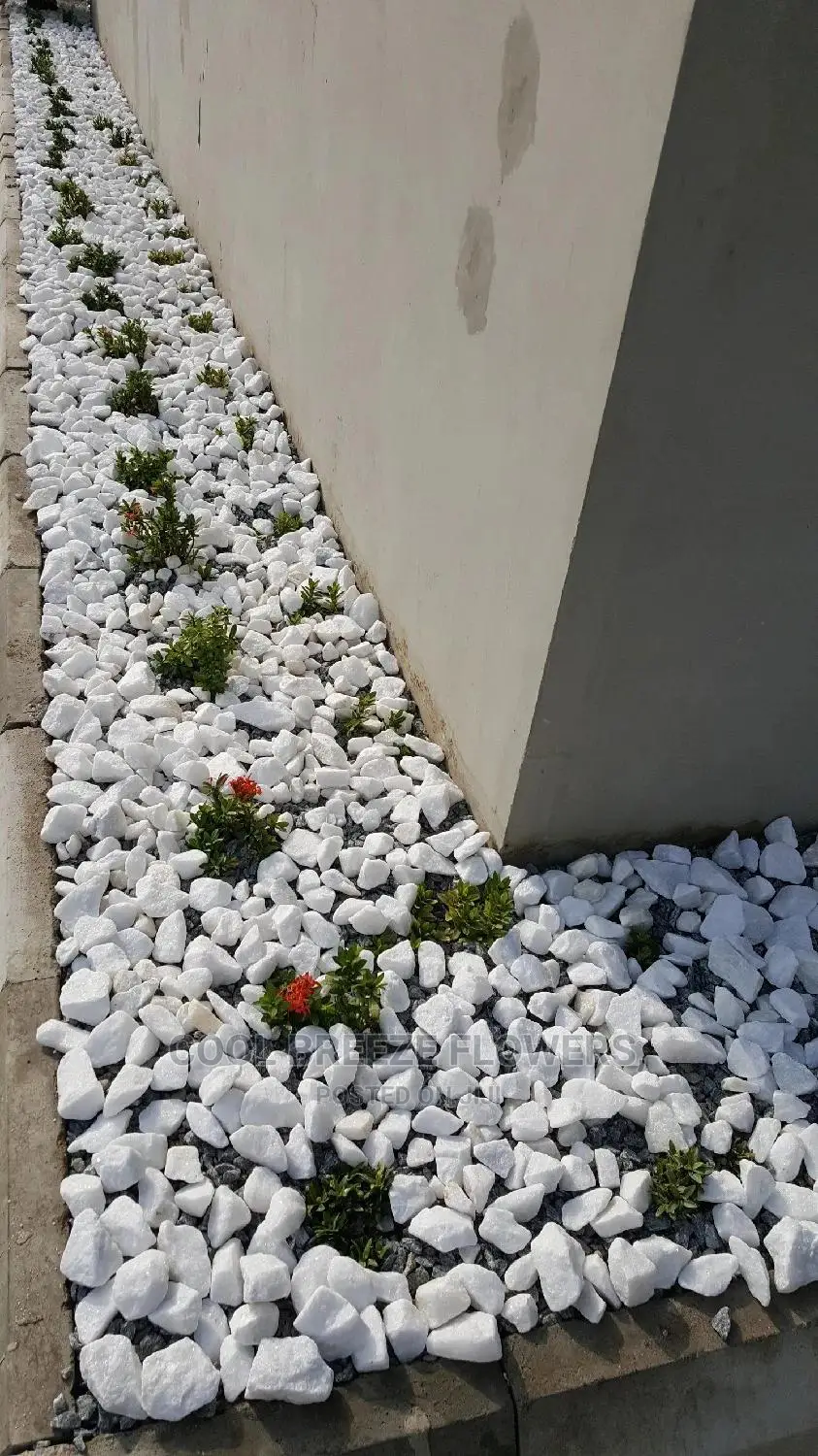 White Stones