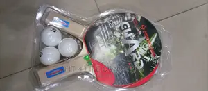 Table Tennis Bat With Net and Eggs