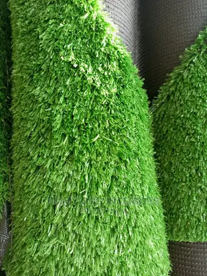 Turkey Carpet Grass
