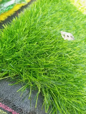 Turkey Artificial Grass