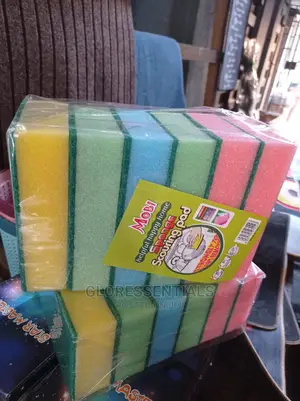 Scouring Sponge Double Sided Sponge