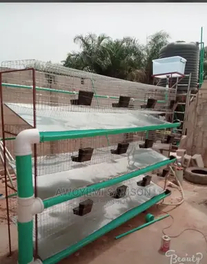Rabbit Cage