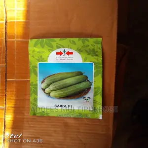 Cucumber Saira Seed F1