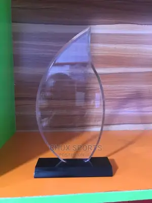 Acrylic Award8
