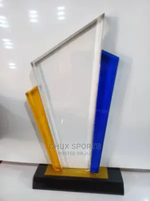 Acrylic  Award10