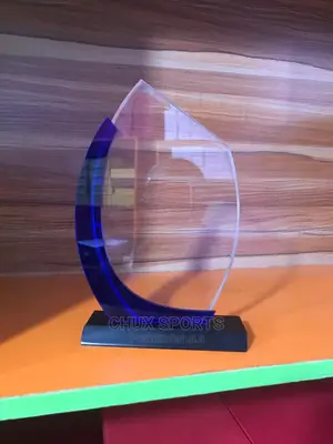 Acrylic Award9