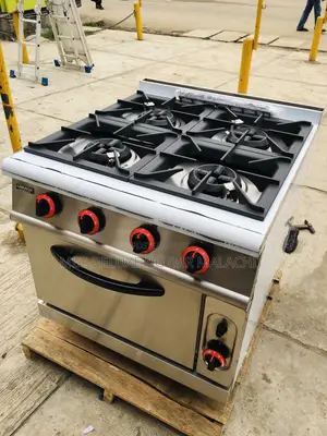 Linkrich Industrial Gas Range/Gas Cooker With Oven (4,6bnrs)