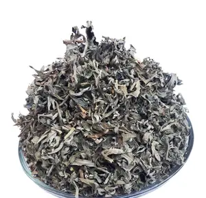 Sweet Wormwood Treat Ascaris Anemia Digestive Disorder 250gs