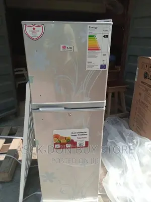 Lg Standing Refrigerator 260liters