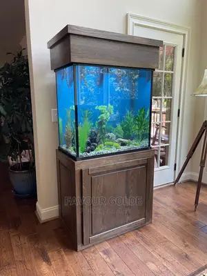Live Fishs Aquarium