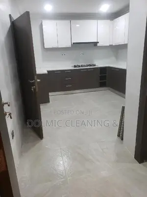 Cleaning Professionals