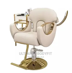 Brand New Styling Saloon Chair