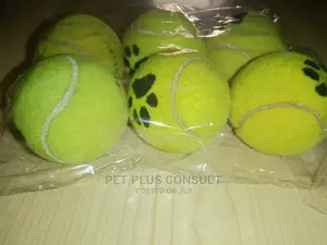 Pet Ball Toy