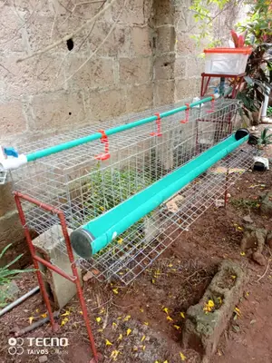 Battery Cage