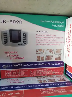 Electronic Pulse Massager