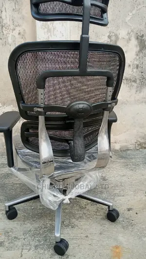 Office Chair (Orthopedic)