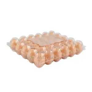 Transparent Egg Crate (30 Cells)