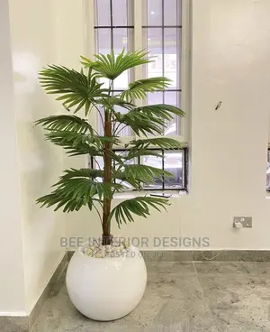 Plants and Planters