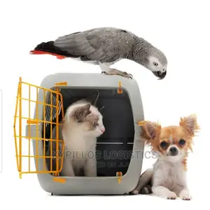 Import Permit and Shipping of Dog, Cat and All Pets
