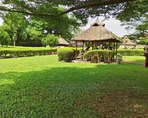 Summer Bar/Gazebo Design Construction.