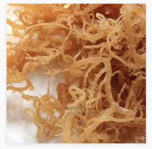Raw Seamoss - 50g