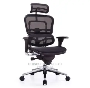 Office Chair (Orthopedic)