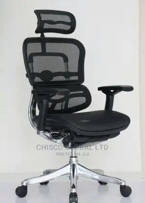 Office Chair (Orthopedic)