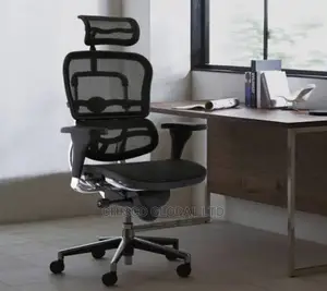 Office Chair (Orthopedic).