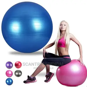 Gym Exercise Ball for Fitness Stability