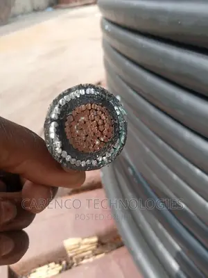 300mm 1core Single Cable ( With Armour)
