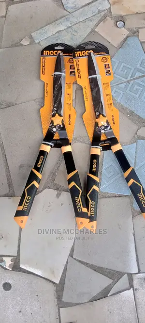 Ingco Flawer Scissors