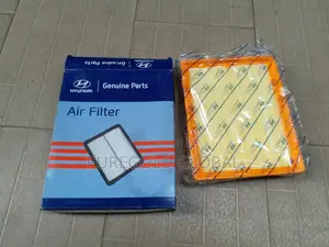 Original Hyundai and Kia Air Filters Available Here