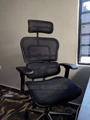Office Chair (Orthopedic)