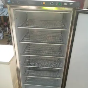 (Cold Room) Standing Freezer. Germany.