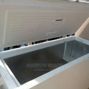 (600l) Liebherr Freezer