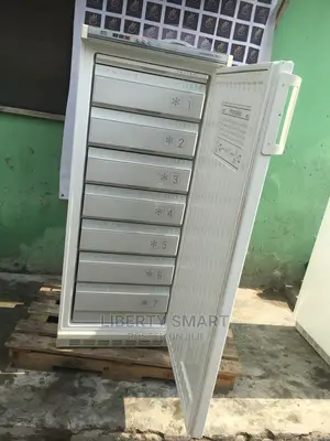 Liebherr Upright/Standing Freezer for Ice-Block