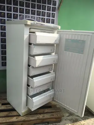 Liebherr Standing Freezer (Ice-Block)
