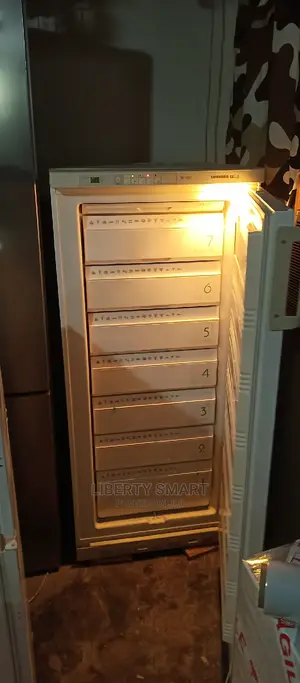 Liebherr Oko-Super Standing Freezer (Ice-Block)