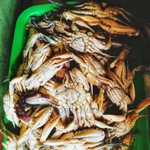 Crabs, Seafood