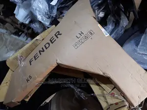 Fender For Hyundia And Kia Products 2017