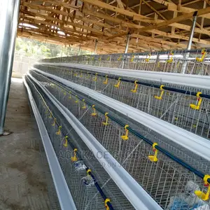 96 Birds Capacity Premium Layers Cage