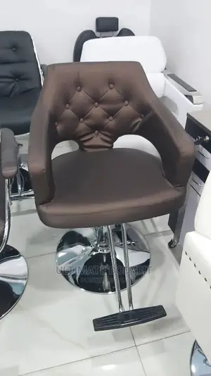 Brand New Beauty Stylist Salon Chair