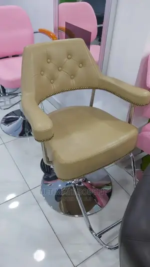 Brand New Beauty Salon Chair