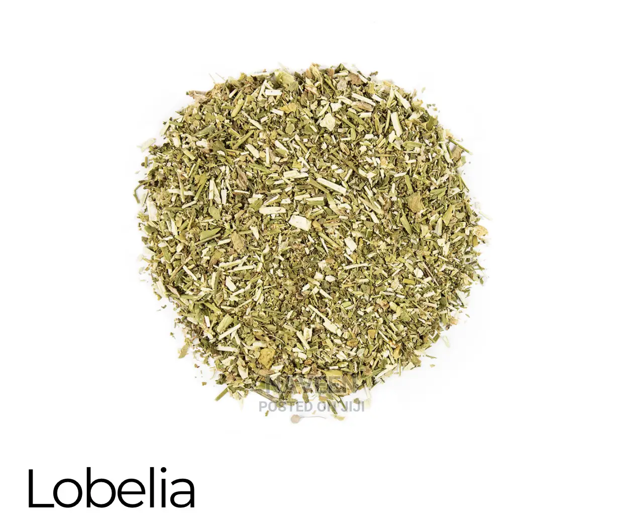 Lobelia Herb - 50g